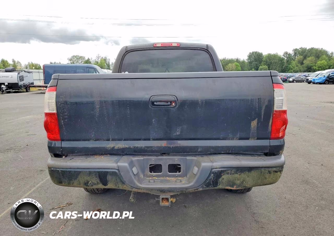 2005 Toyota Tundra Double Cab Limited VIN:5TBDT48135S484515 - 6