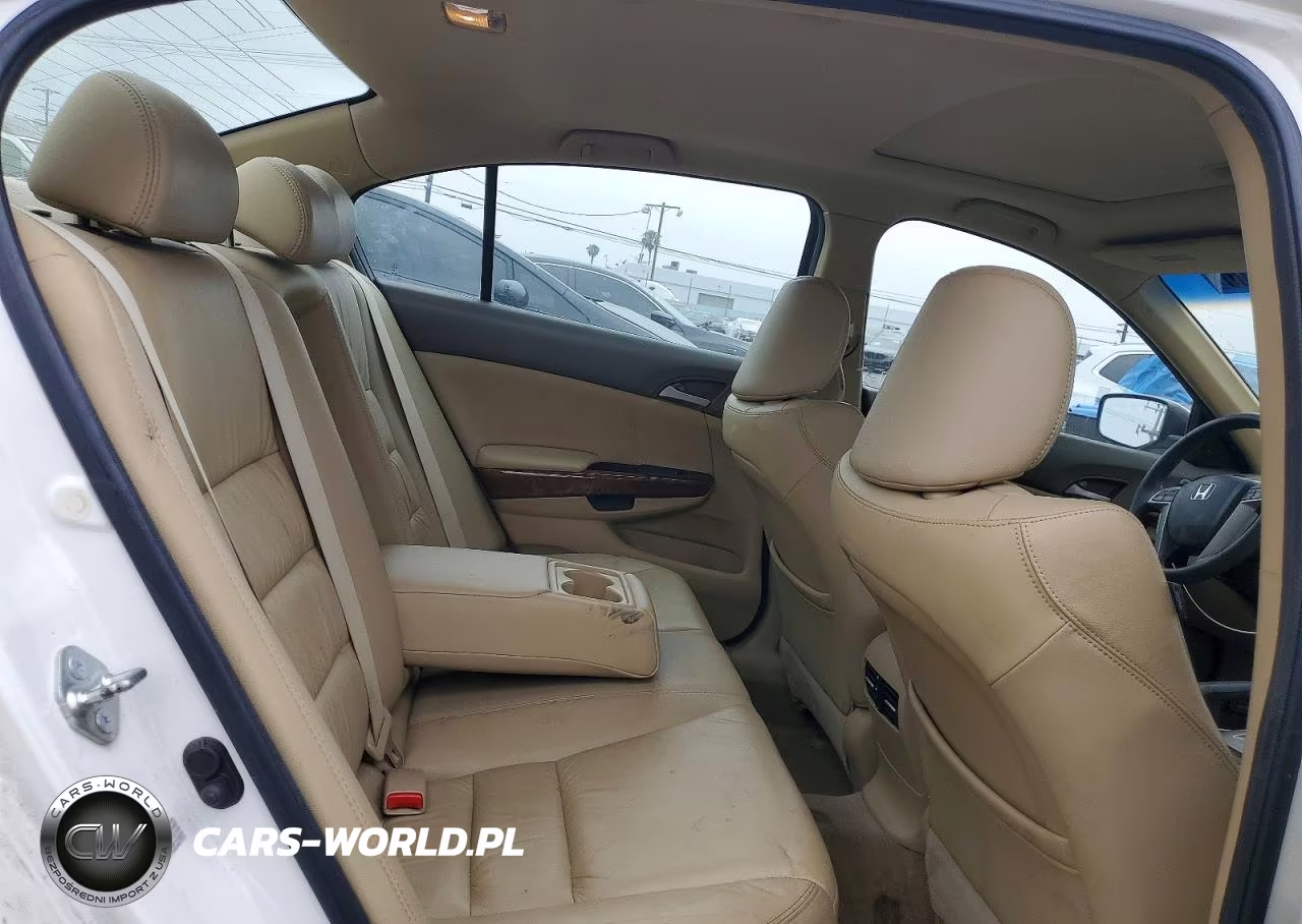 2010 Honda Accord Exl VIN:1HGCP3F83AA001955 - 10