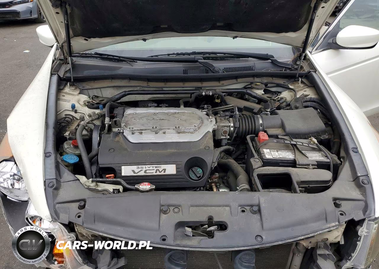 2010 Honda Accord Exl VIN:1HGCP3F83AA001955 - 11