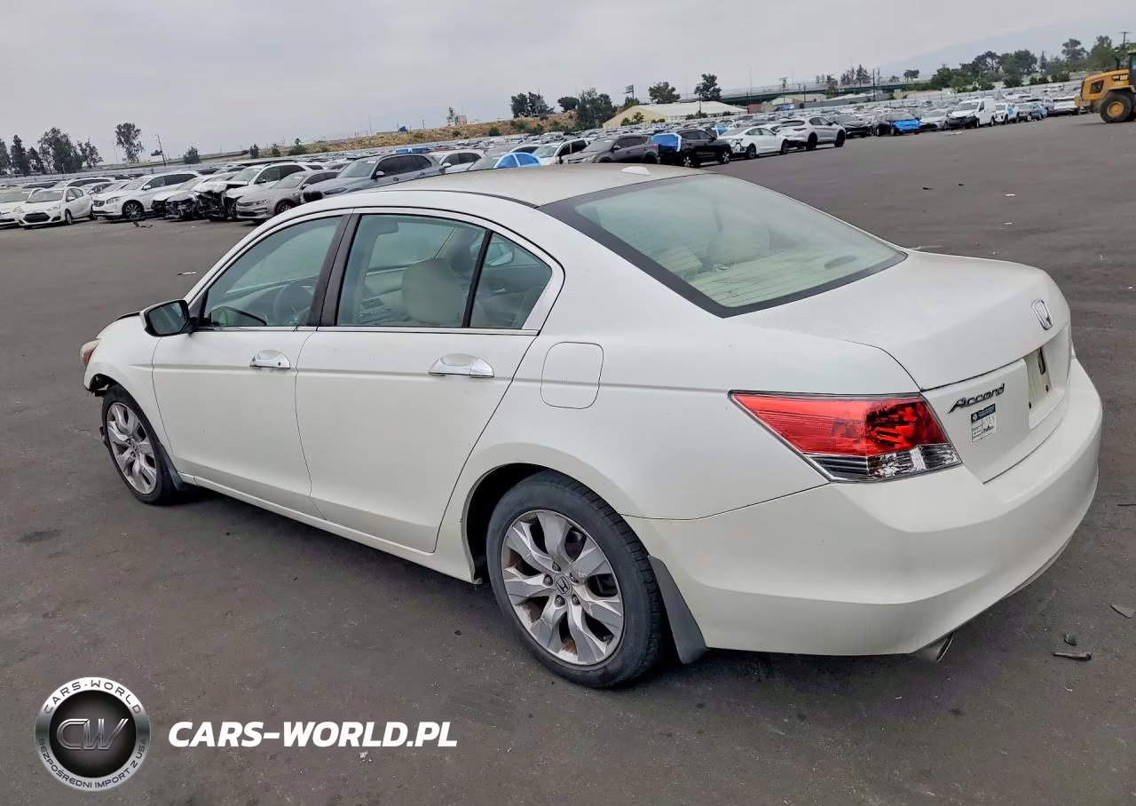 2010 Honda Accord Exl VIN:1HGCP3F83AA001955 - 2