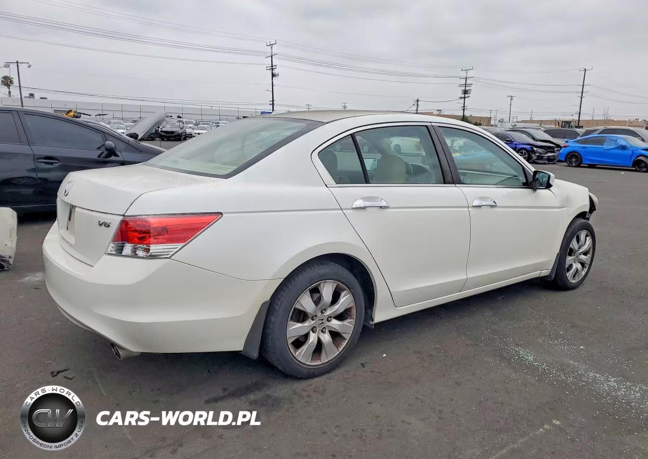 2010 Honda Accord Exl VIN:1HGCP3F83AA001955 - 3