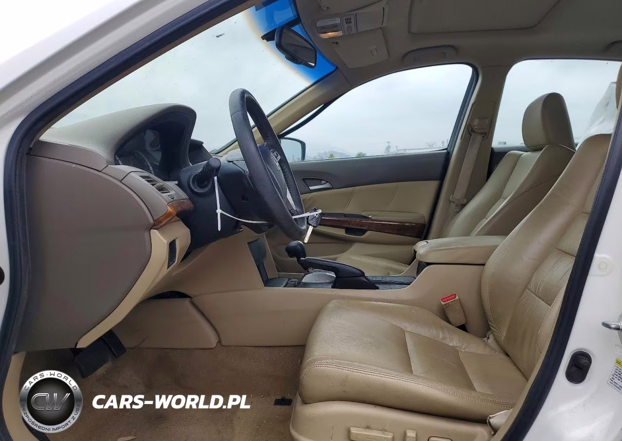 2010 Honda Accord Exl VIN:1HGCP3F83AA001955 - 7
