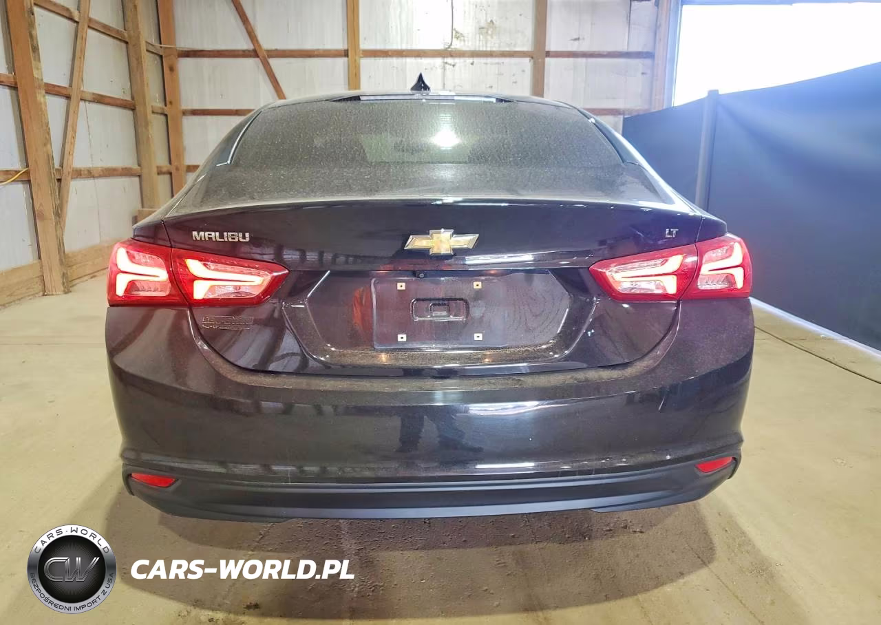 2019 Chevrolet Malibu Lt VIN:1G1ZD5ST5KF188359 - 6