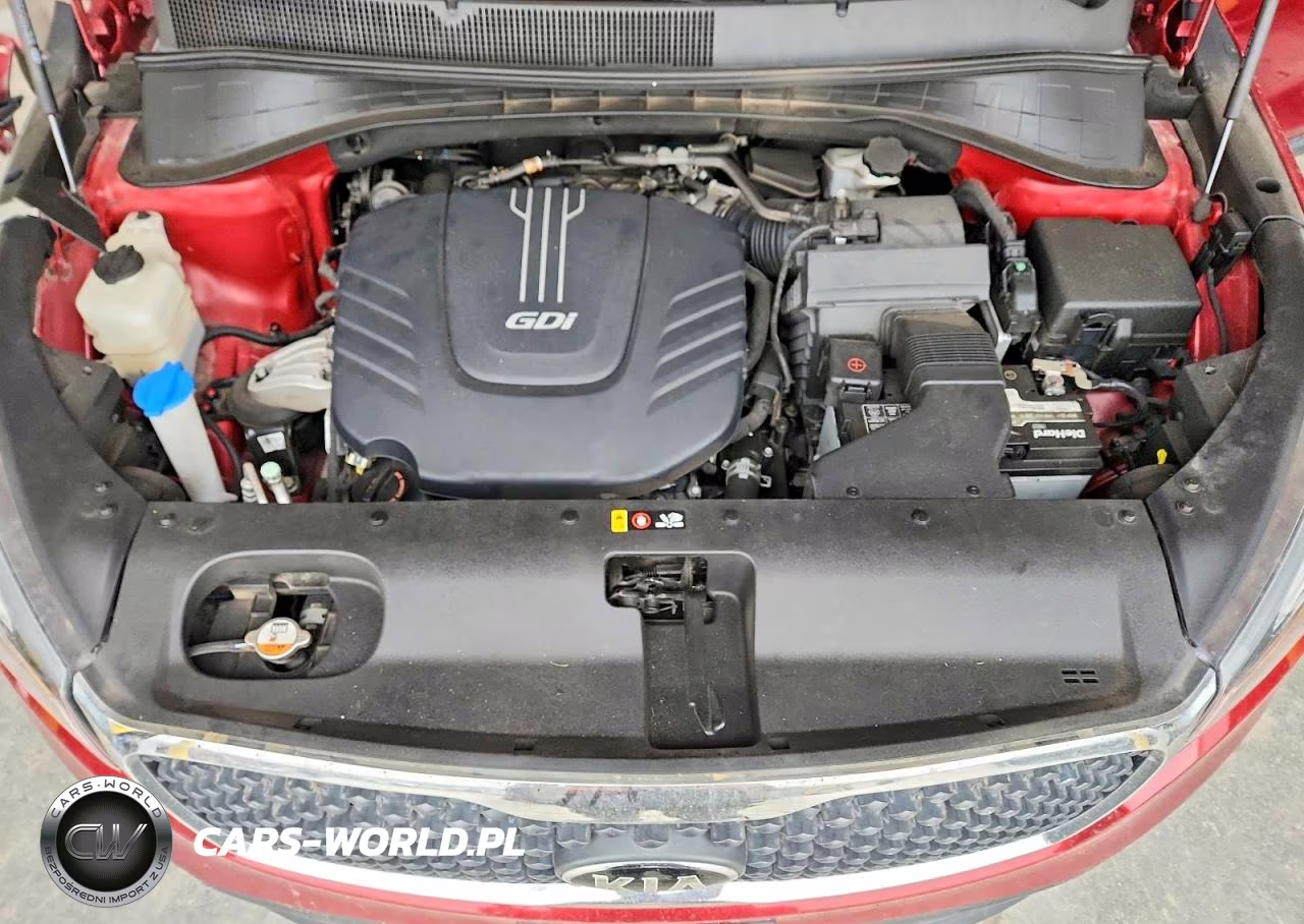2017 Kia Sorento Lx V6 VIN:5XYPGDA51HG223861 - 12