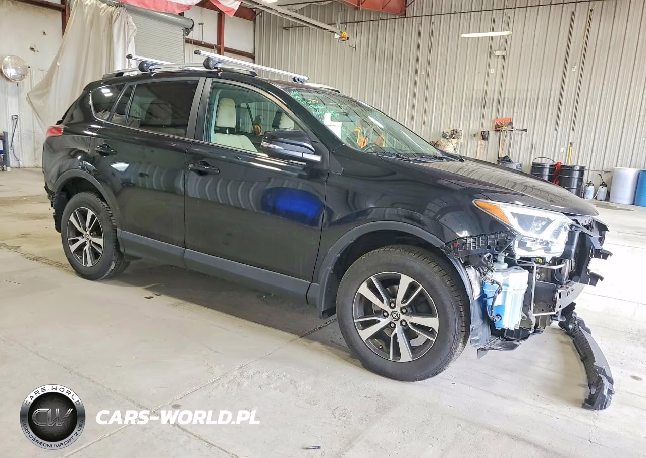 2016 Toyota Rav4 Xle VIN:2T3RFREVXGW447424 - 4