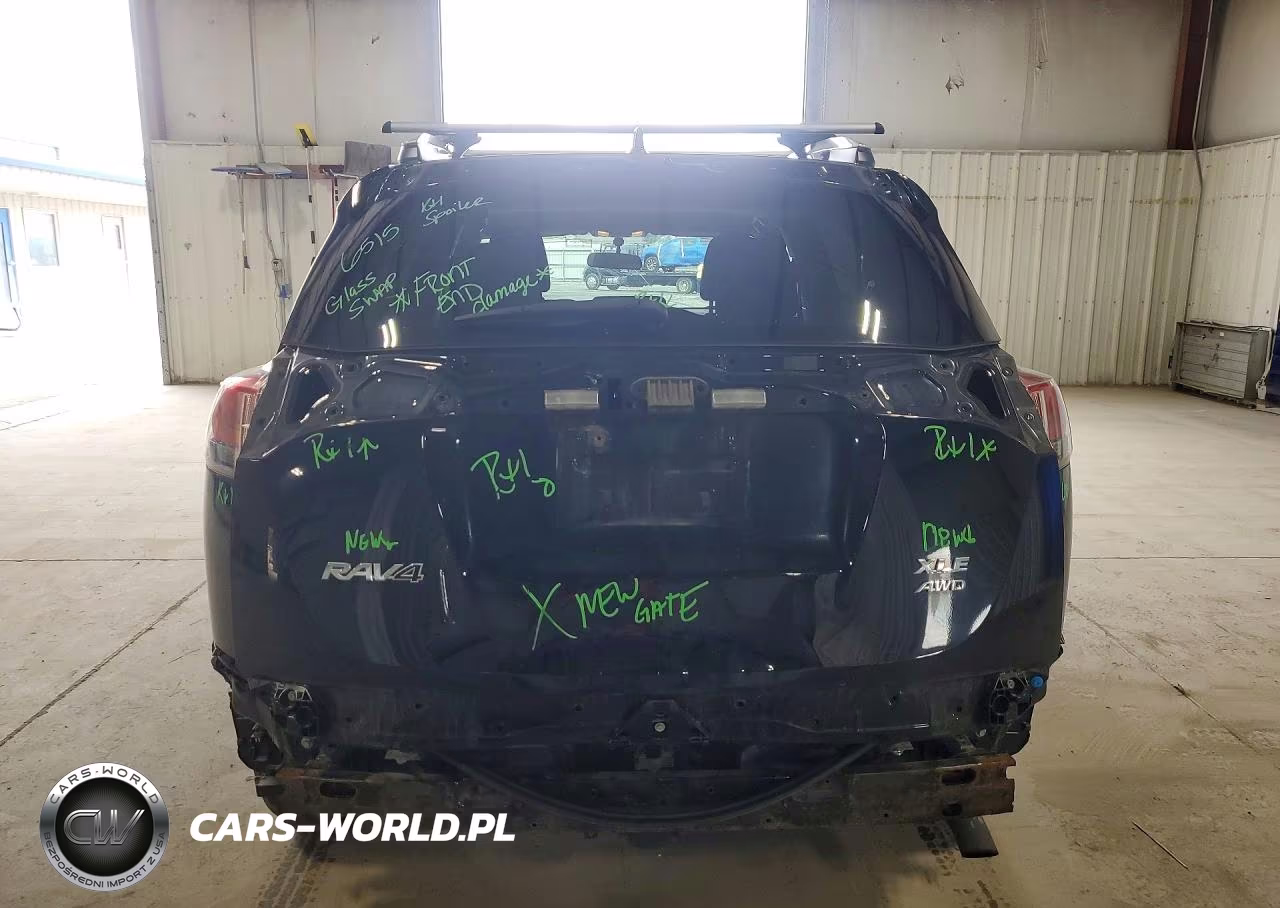 2016 Toyota Rav4 Xle VIN:2T3RFREVXGW447424 - 6