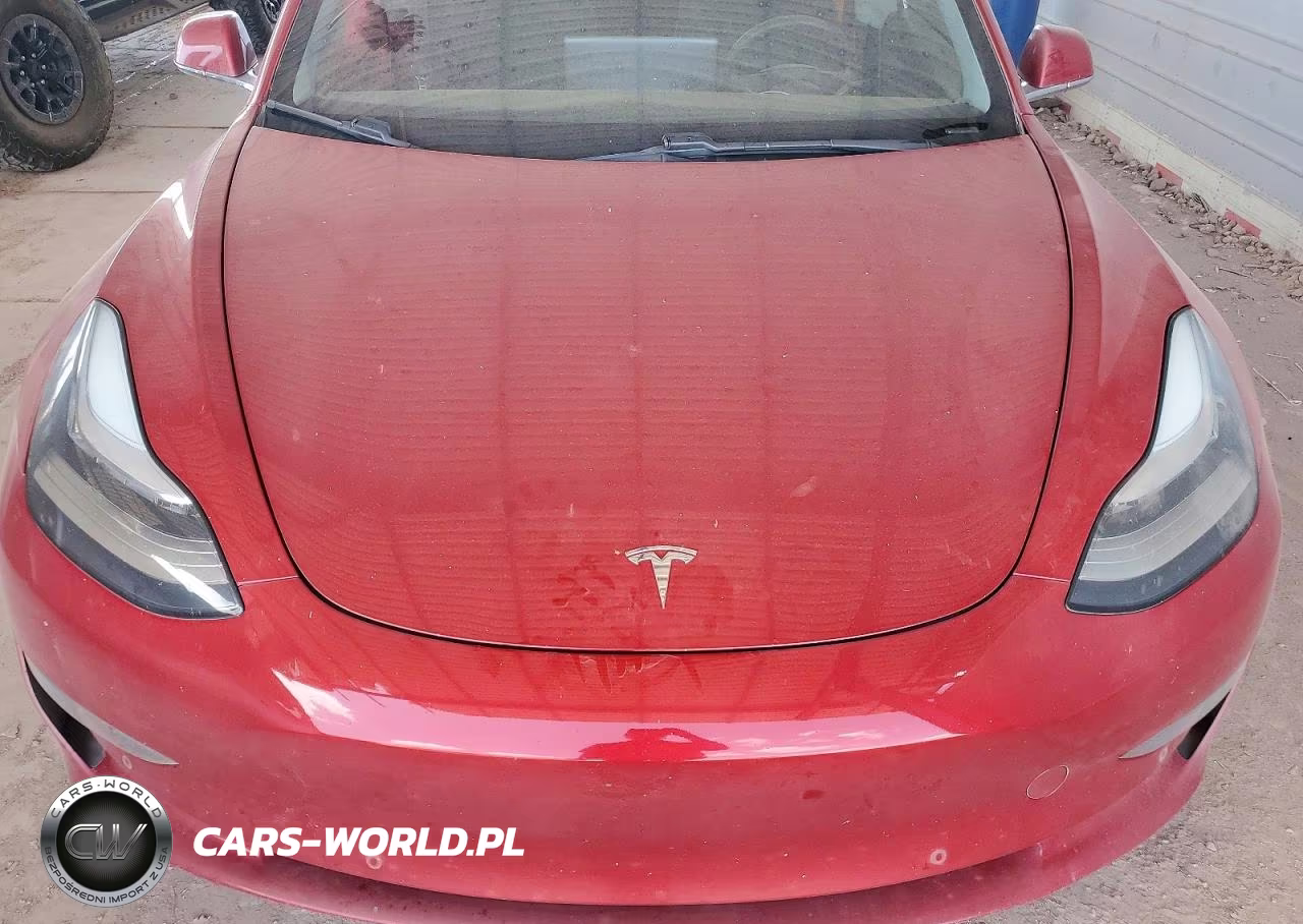 2020 Tesla Model 3 VIN:5YJ3E1EA9LF706685 - 11