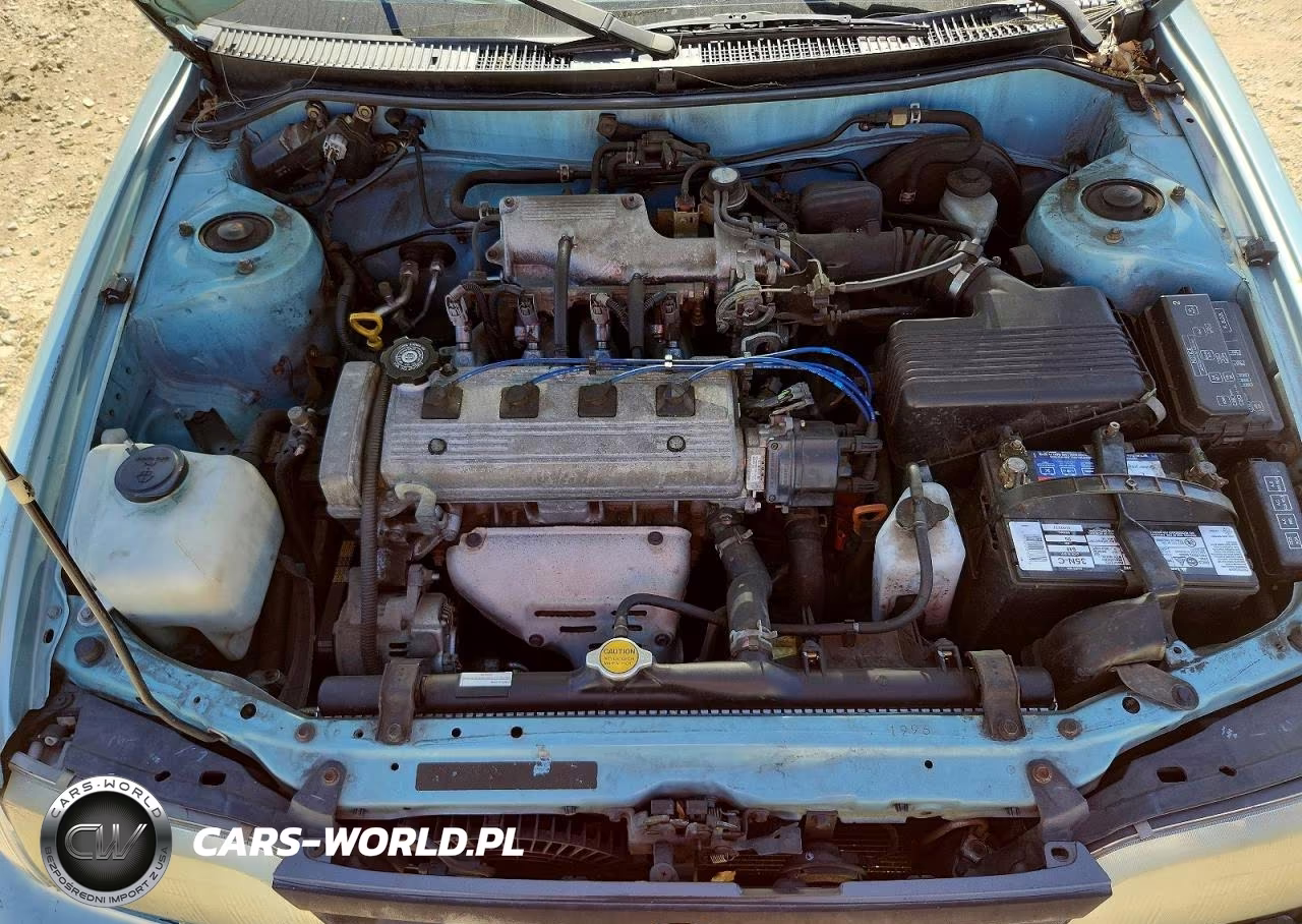 1995 Toyota Corolla Dx VIN:1NXAE09BXSZ335719 - 11