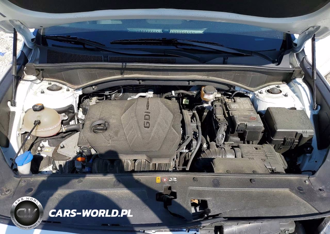 2022 Hyundai Santa Fe Xrt VIN:5NMS6DAJ3NH440470 - 12