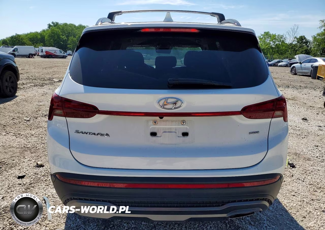 2022 Hyundai Santa Fe Xrt VIN:5NMS6DAJ3NH440470 - 6