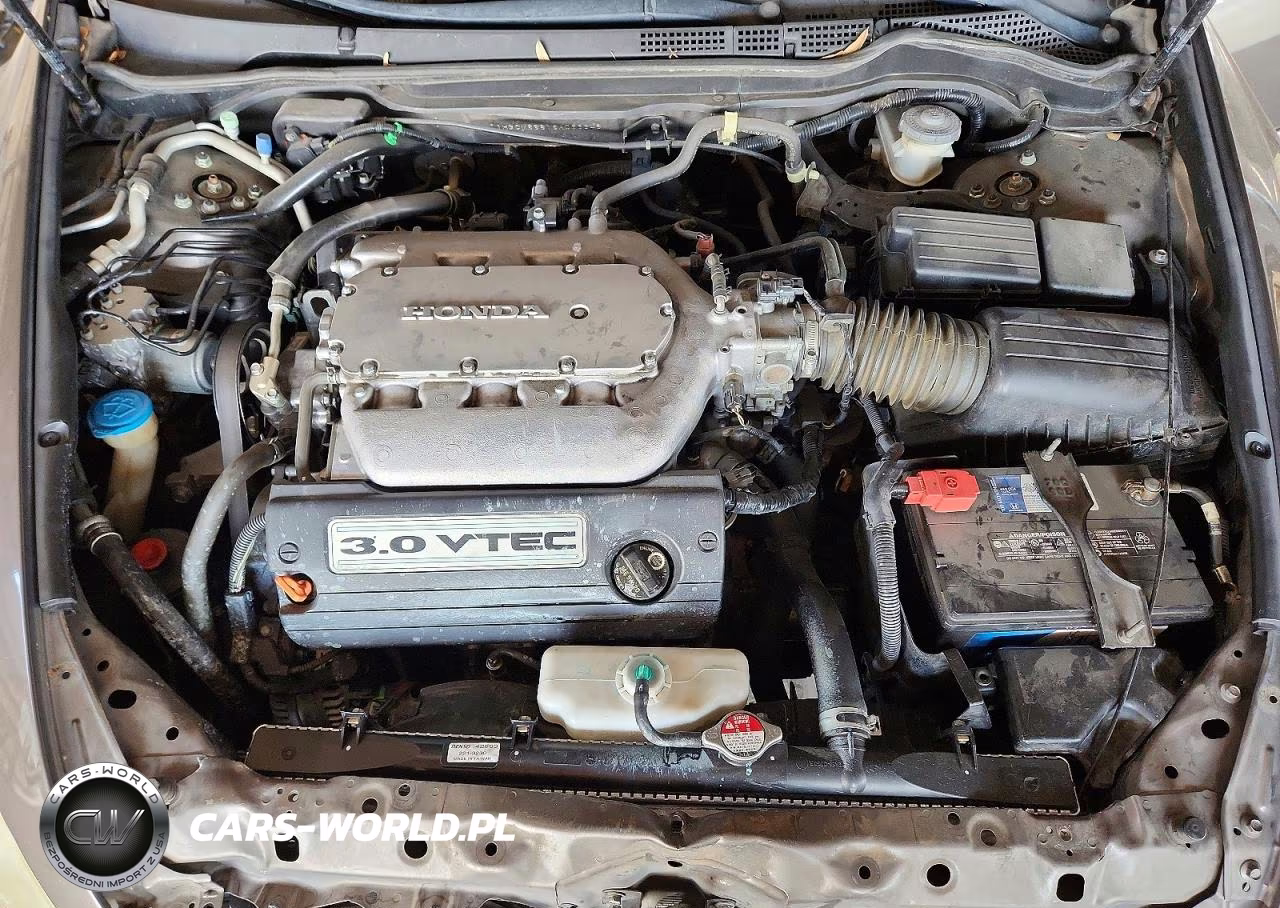 2006 Honda Accord Ex VIN:1HGCM66816A063646 - 11