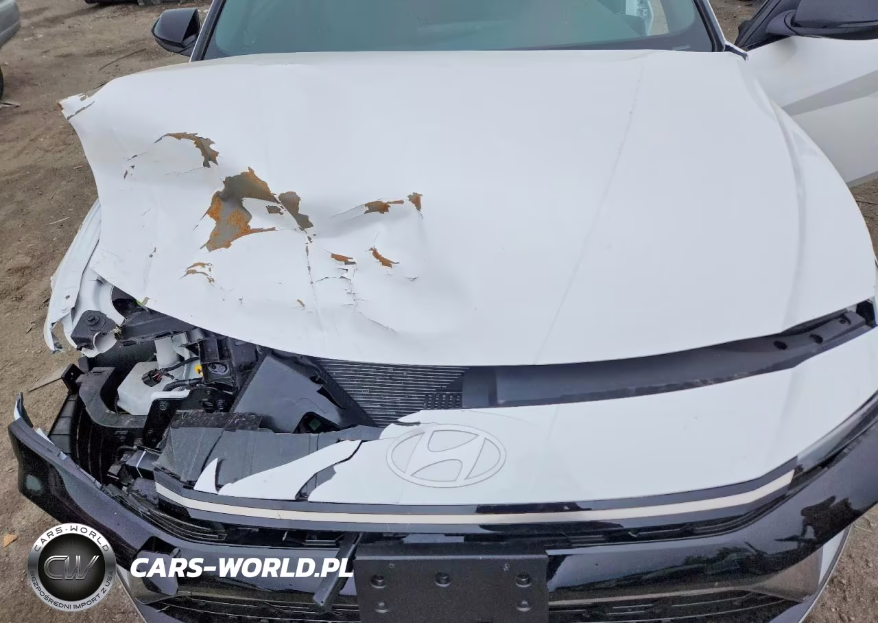 2026 Hyundai Elantra N Line VIN:KMHLR4DFXTU111589 - 11