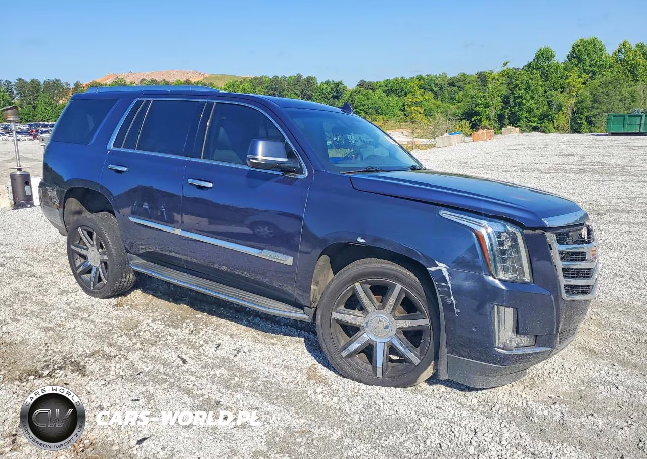 2017 Cadillac Escalade Luxury VIN:1GYS4BKJXHR407355 - 4