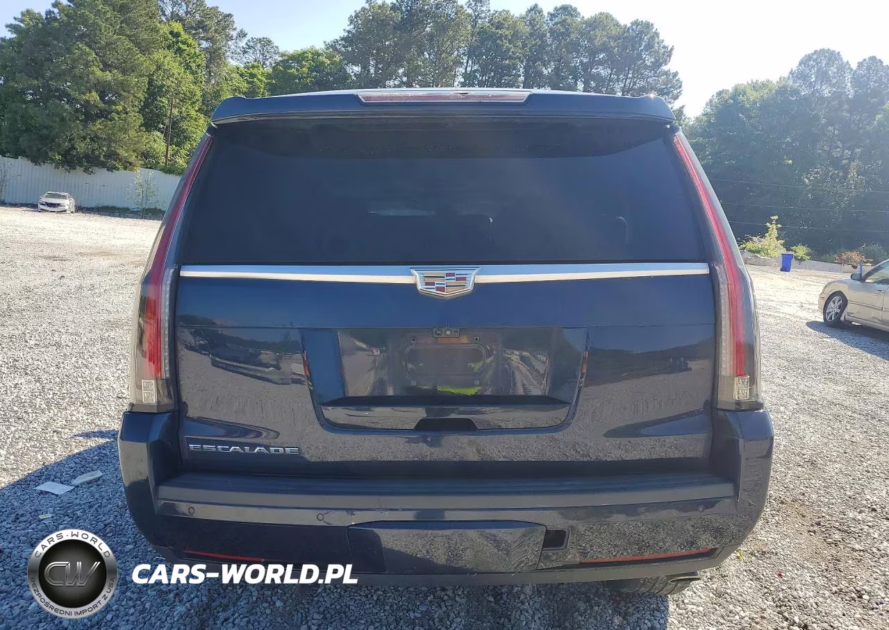 2017 Cadillac Escalade Luxury VIN:1GYS4BKJXHR407355 - 6