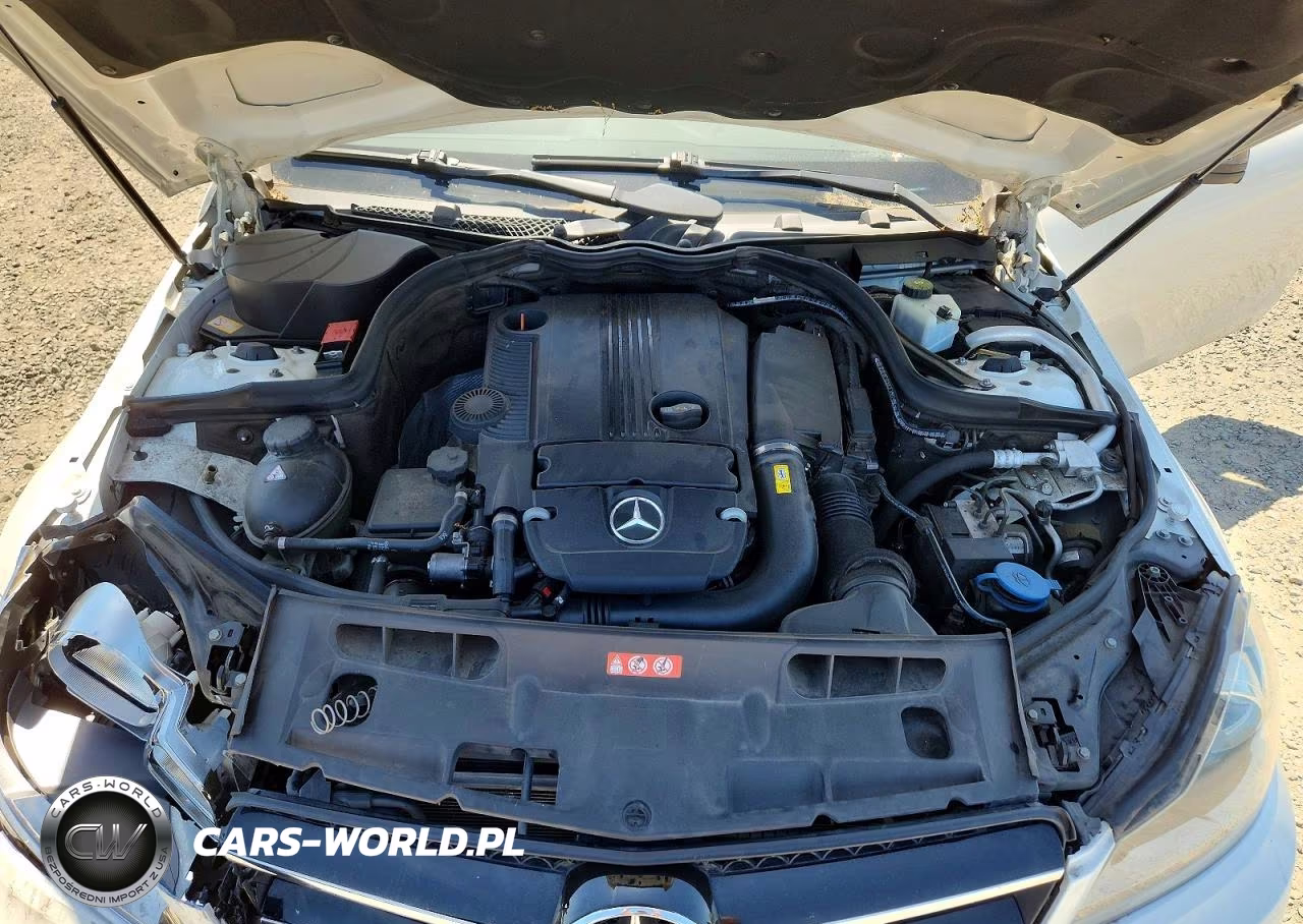2013 Mercedes-Benz C 250 VIN:WDDGJ4HB1DF960509 - 11