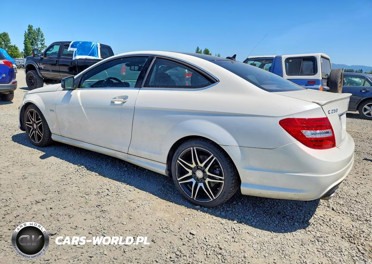 2013 Mercedes-Benz C 250 VIN:WDDGJ4HB1DF960509 - 2