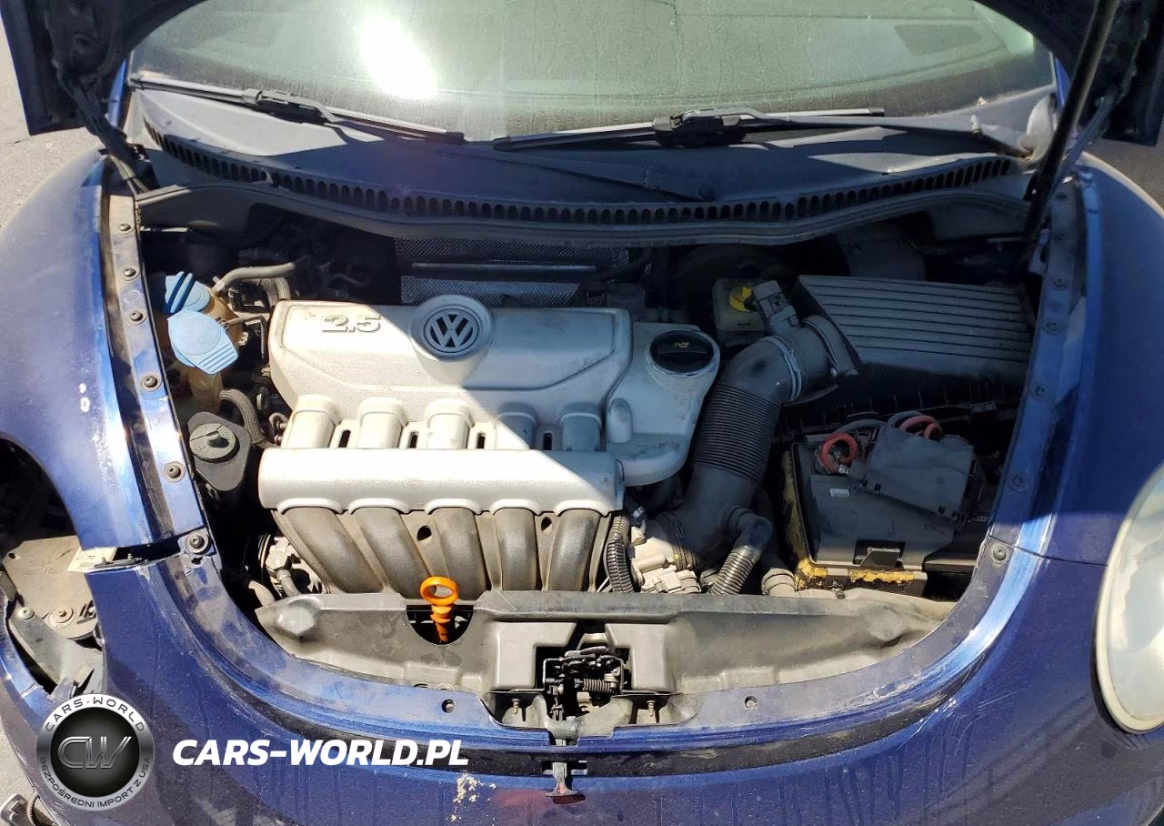 2006 Volkswagen New Beetle 2.5L Option Package 1 VIN:3VWRW31C36M413436 - 11
