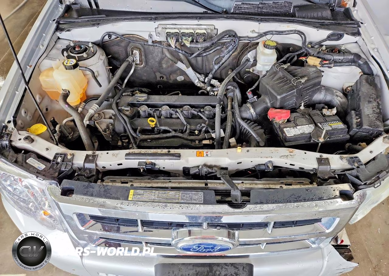 2011 Ford Escape Xlt VIN:1FMCU0D71BKA21807 - 11