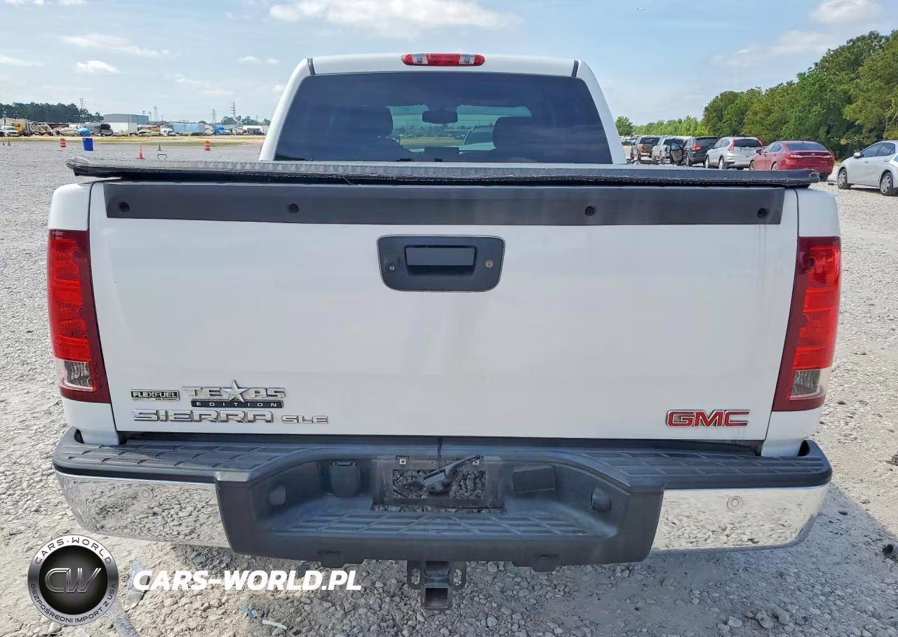 2010 GMC Sierra C1500 Sle VIN:3GTRCVE05AG101617 - 6