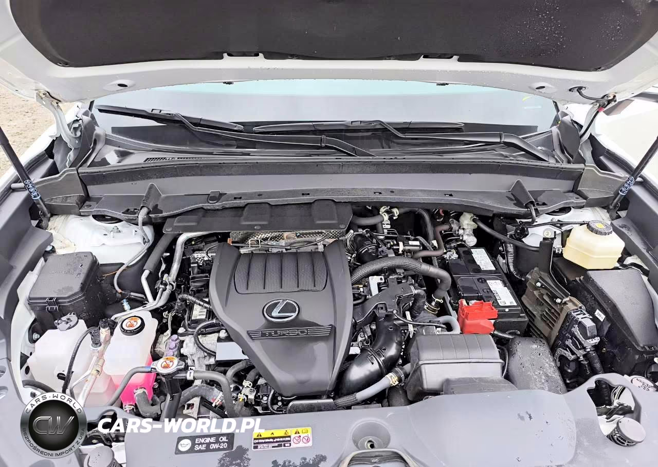 2024 Lexus Tx 350 Base VIN:5TDAAAB62RS004005 - 12