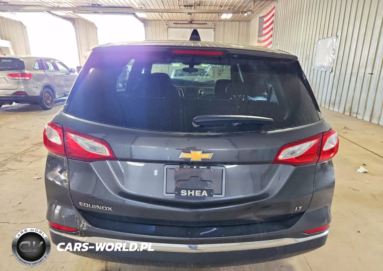 2019 Chevrolet Equinox Lt VIN:2GNAXKEV2K6157918 - 6