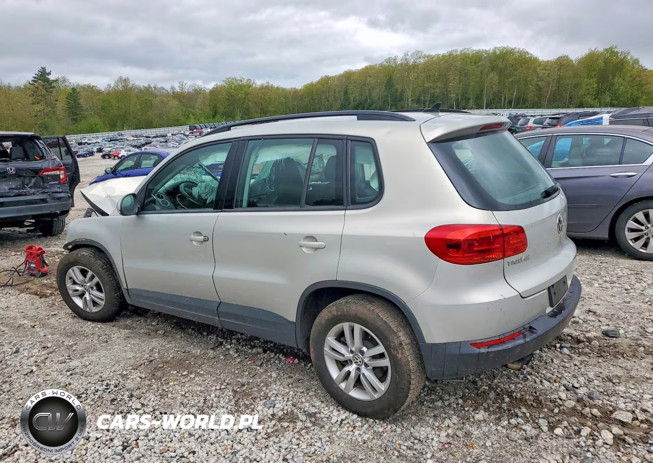 2015 Volkswagen Tiguan S VIN:WVGAV7AX0FW594505 - 2