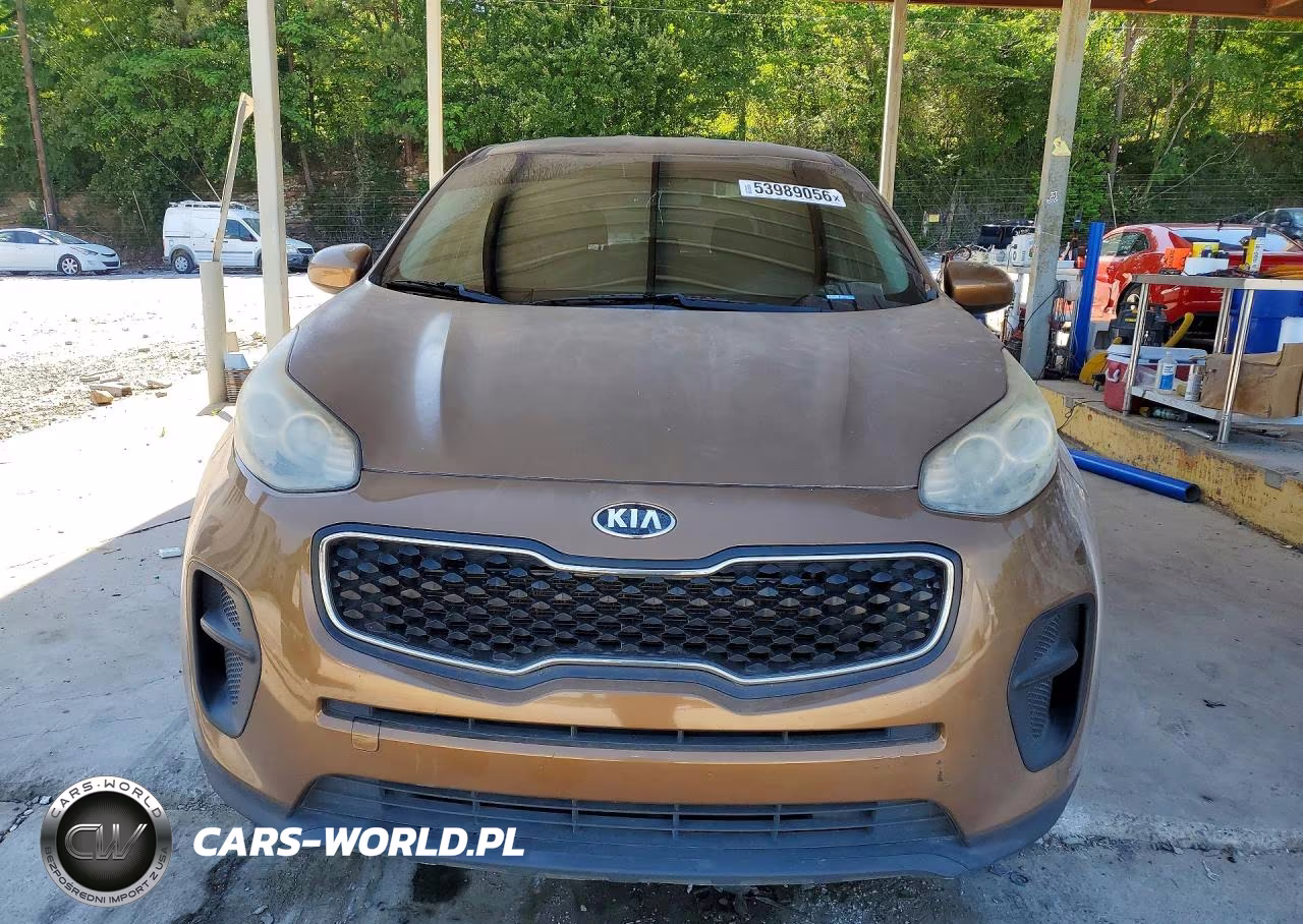2018 Kia Sportage Lx VIN:KNDPM3AC7J7306148 - 5