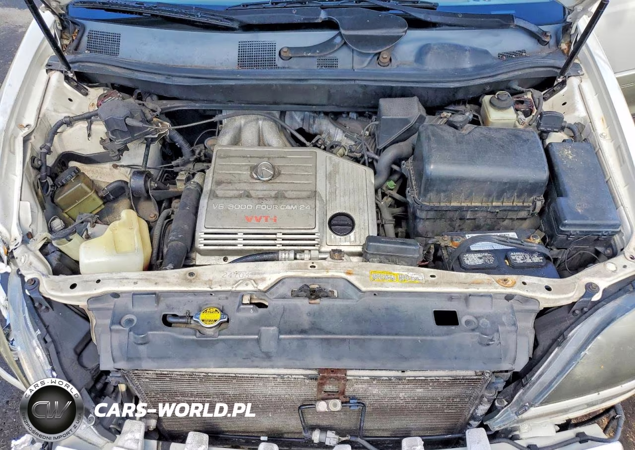 2000 Lexus Rx 300 VIN:JT6GF10U2Y0065831 - 12