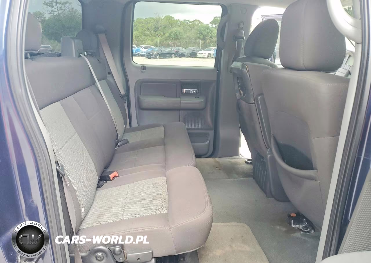 2006 Ford F150 Supercrew VIN:1FTRW12W36KD68909 - 10