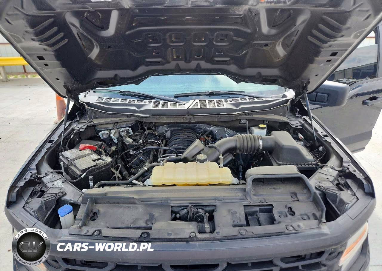 2024 Ford F150 Stx VIN:1FTFW2L5XRFC17299 - 11