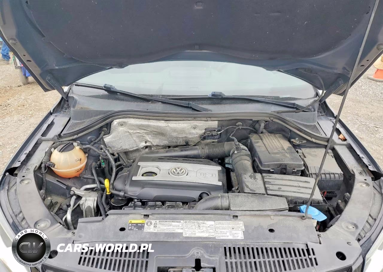 2016 Volkswagen Tiguan S VIN:WVGBV7AX5GW011982 - 12