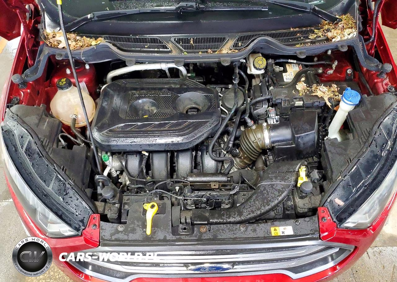 2018 Ford Ecosport Ses VIN:MAJ6P1CLXJC220379 - 11