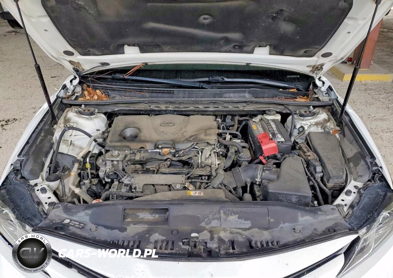 2020 Toyota Camry VIN:4T1C11AK7LU346071 - 12
