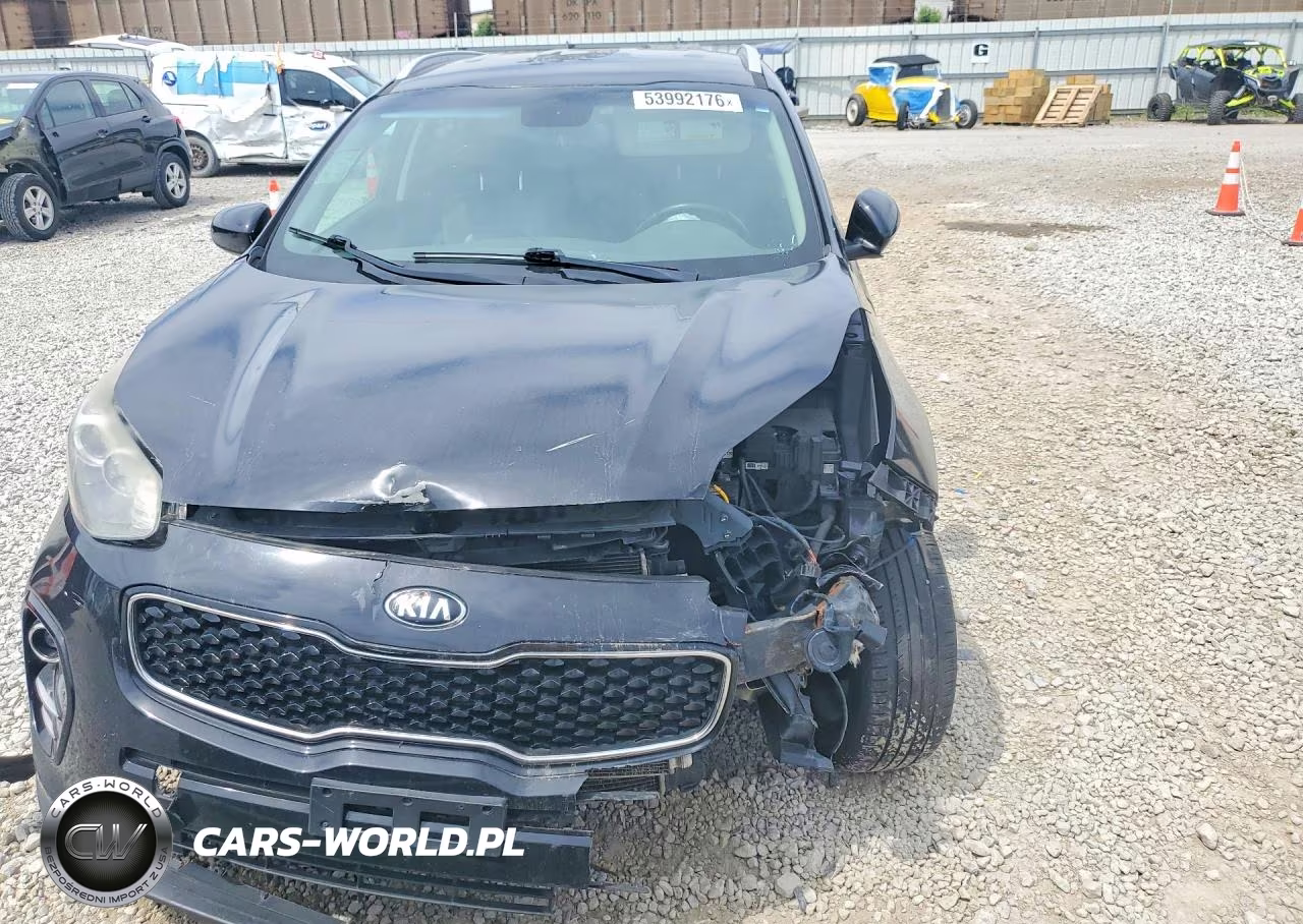 2017 Kia Sportage Ex VIN:KNDPN3AC5H7137772 - 5