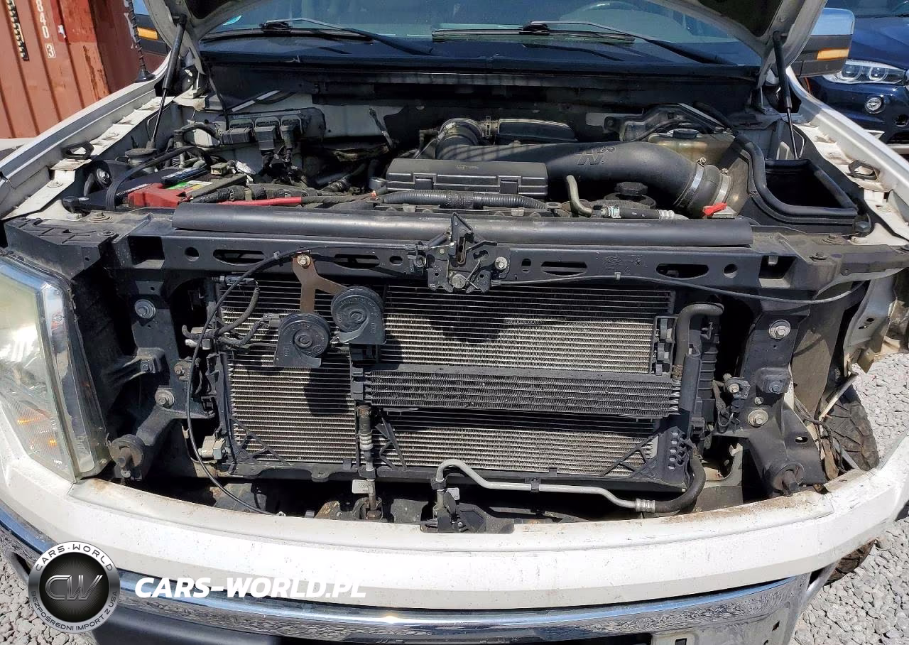 2010 Ford F150 Supercrew VIN:1FTFW1EV5AFA44044 - 11
