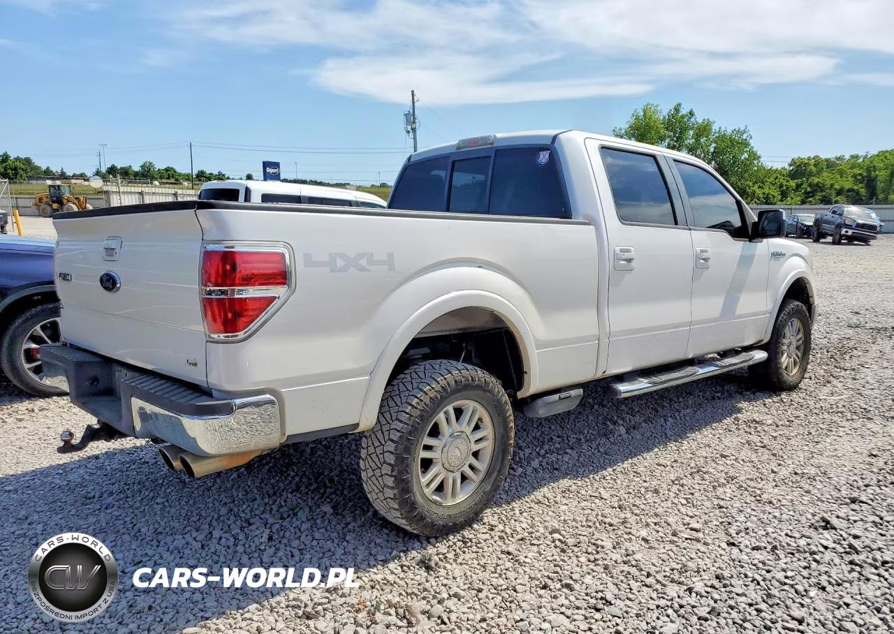 2010 Ford F150 Supercrew VIN:1FTFW1EV5AFA44044 - 3