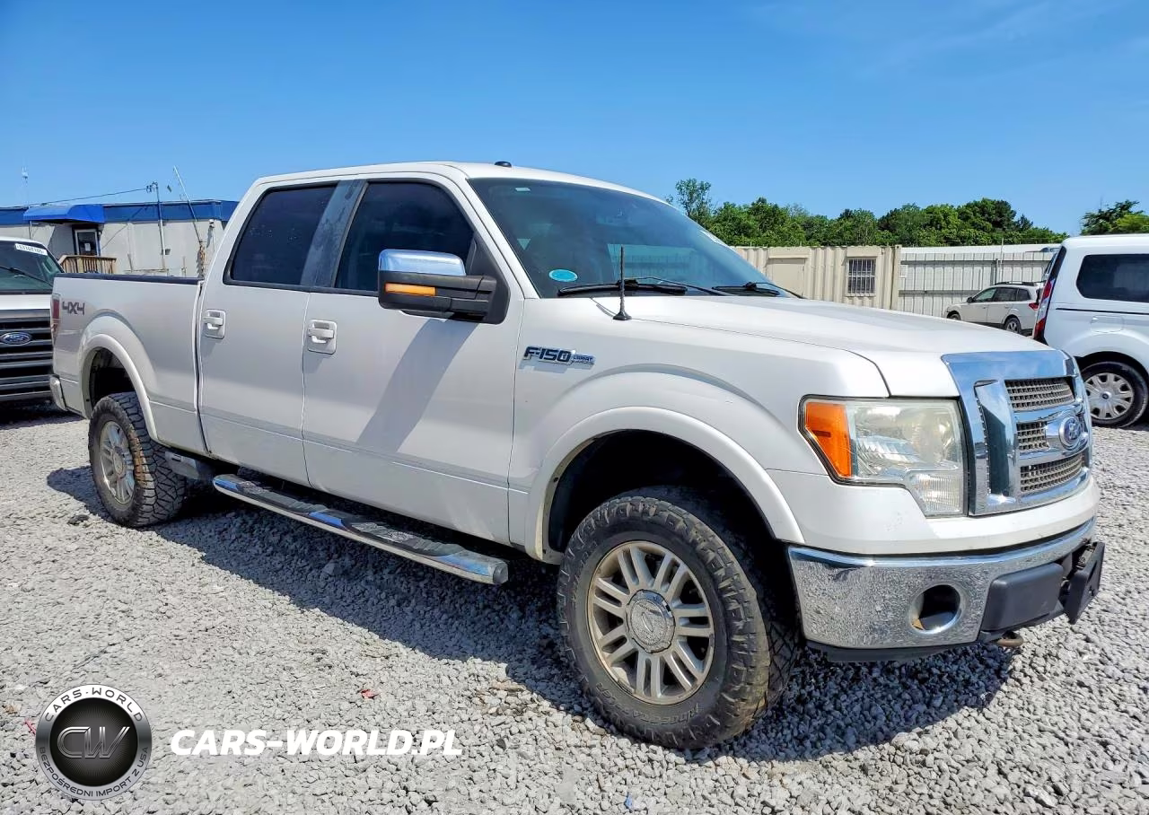2010 Ford F150 Supercrew VIN:1FTFW1EV5AFA44044 - 4