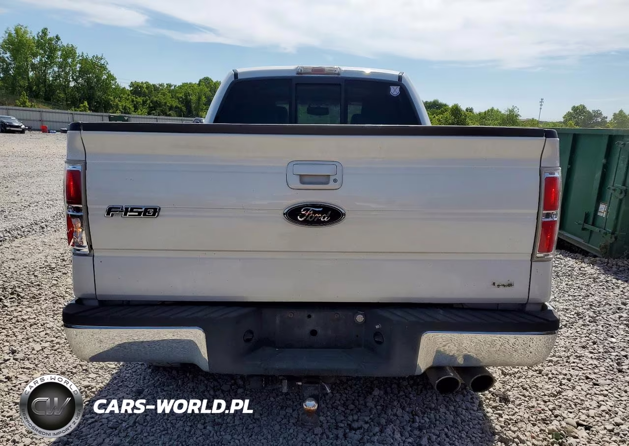 2010 Ford F150 Supercrew VIN:1FTFW1EV5AFA44044 - 6