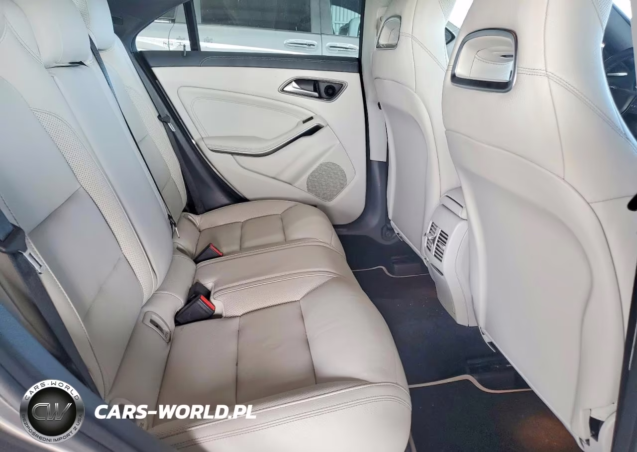 2014 Mercedes-Benz Cla 250 VIN:WDDSJ4EB5EN056619 - 10
