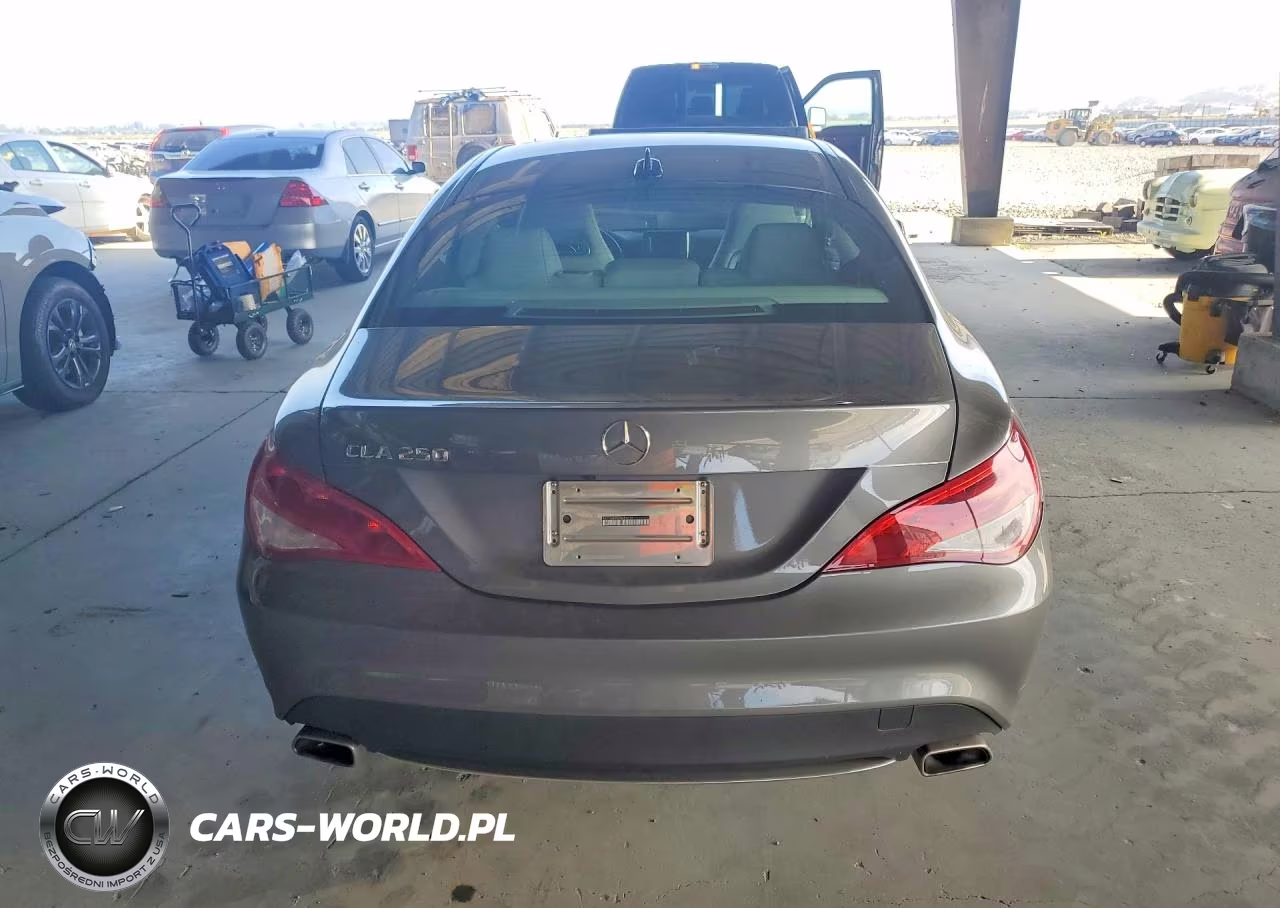 2014 Mercedes-Benz Cla 250 VIN:WDDSJ4EB5EN056619 - 6