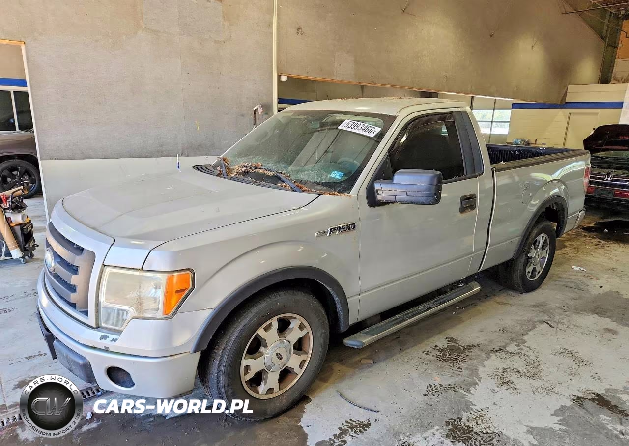 2009 Ford F150