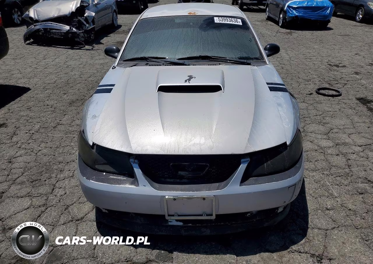 2003 Ford Mustang Gt VIN:1FAFP42X43F363058 - 5