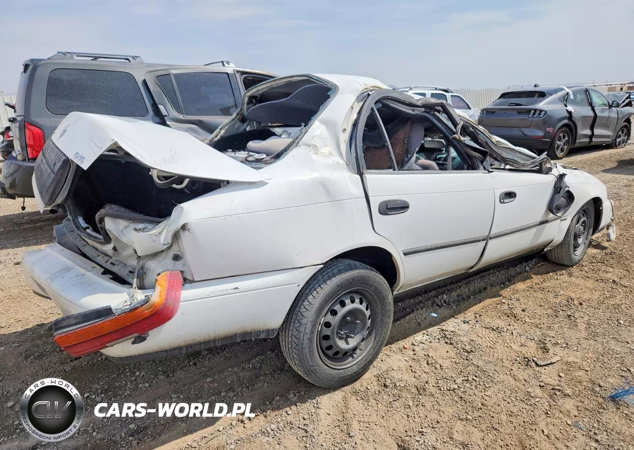 1995 Toyota Corolla Dx VIN:1NXAE09B1SZ304245 - 3