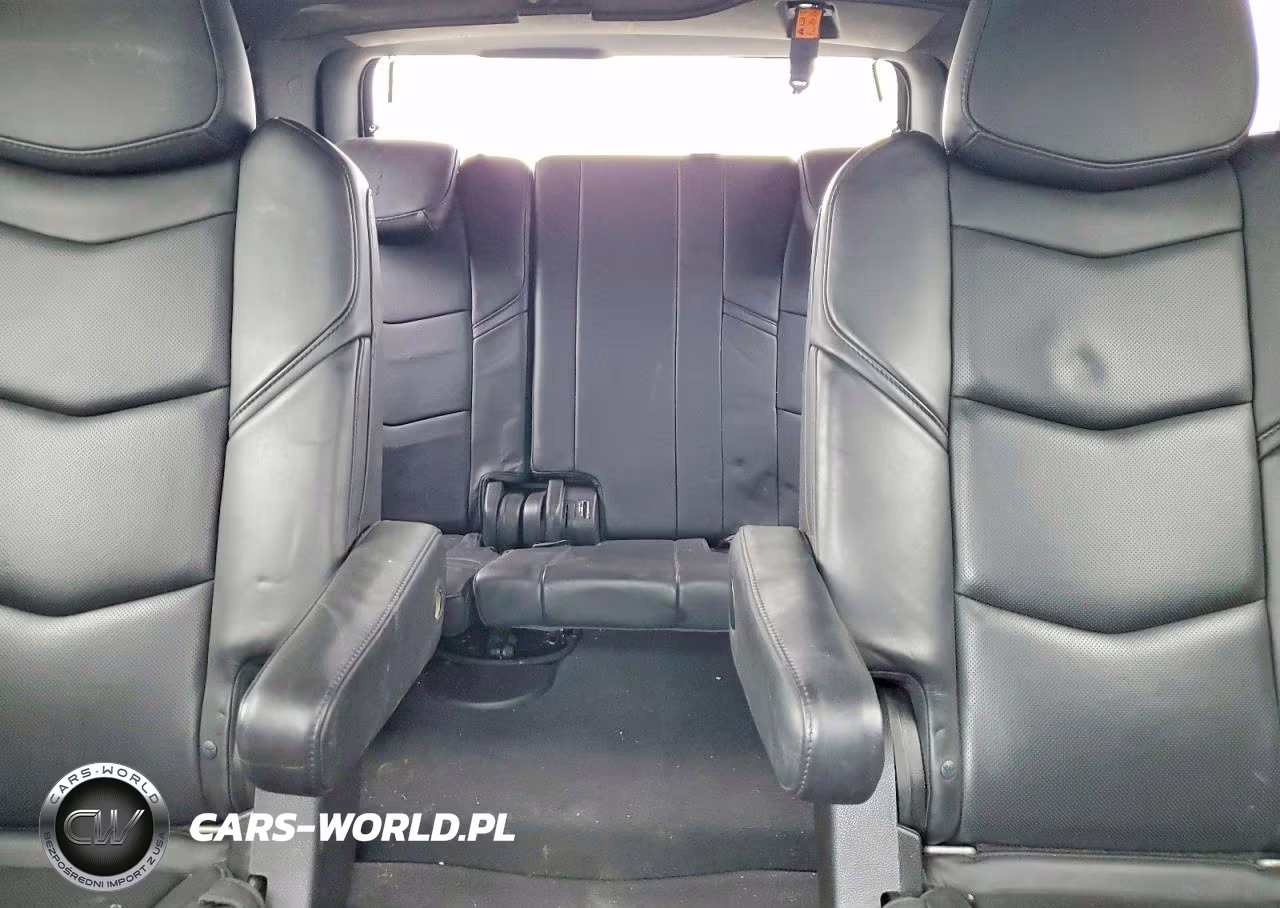 2015 Cadillac Escalade Platinum VIN:1GYS4PKJ0FR584197 - 10