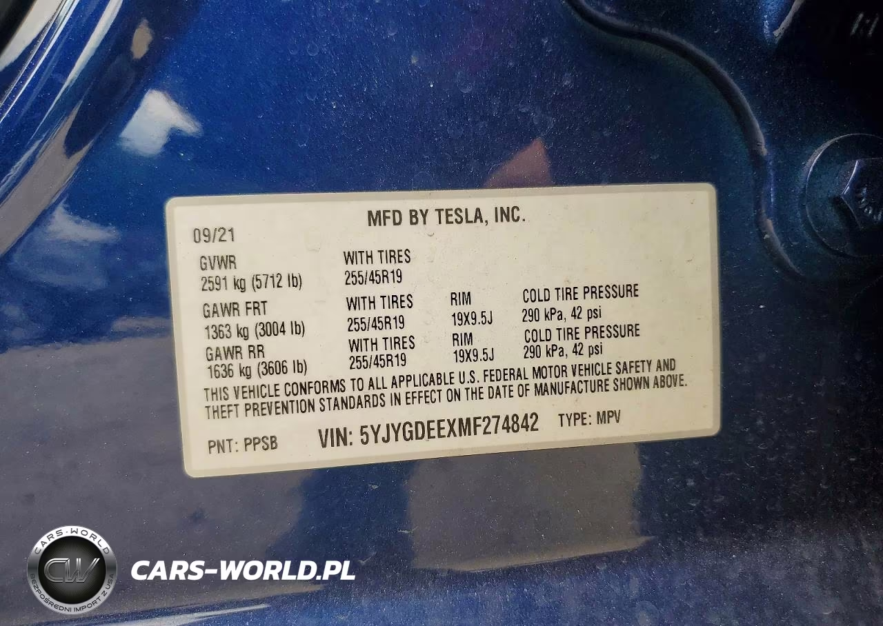 2021 Tesla Model Y VIN:5YJYGDEEXMF274842 - 12