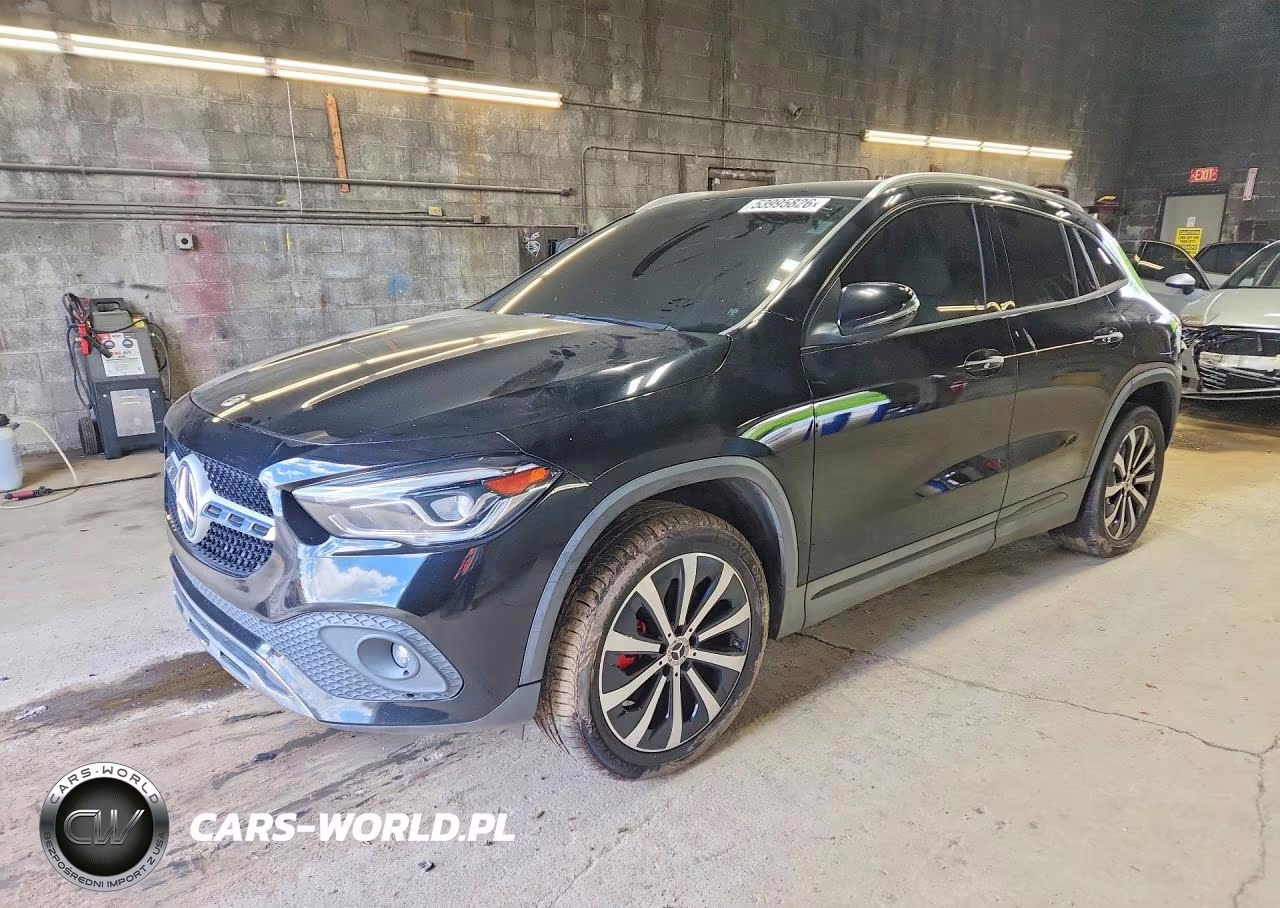 2021 Mercedes-Benz Gla 250 VIN:W1N4N4GB8MJ196392 - 1