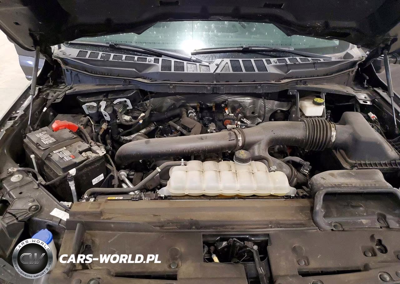 2024 Ford F150 Xlt VIN:1FTFW3L82RKD61727 - 11