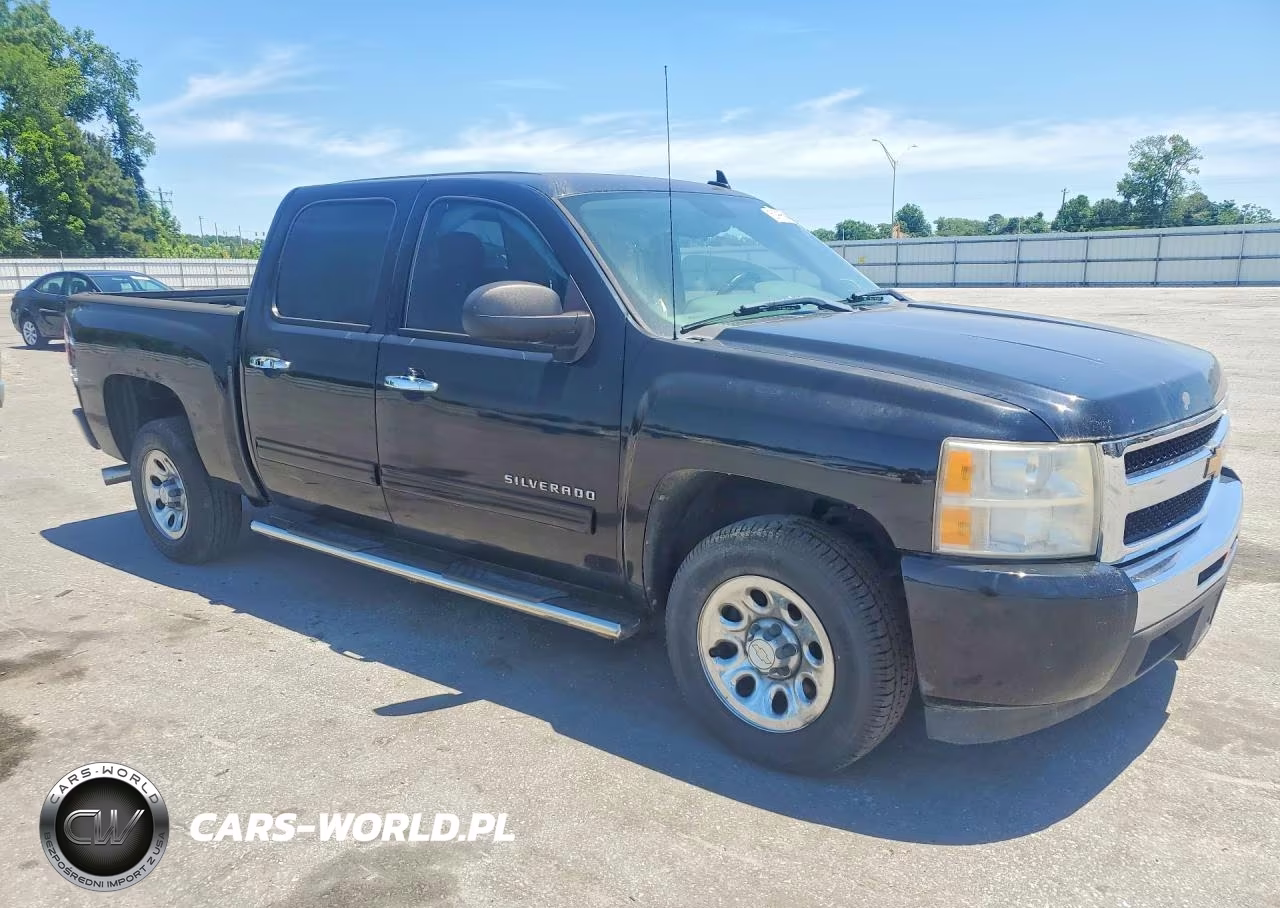 2010 Chevrolet Silverado C1500 Ls VIN:3GCRCREA8AG285287 - 4