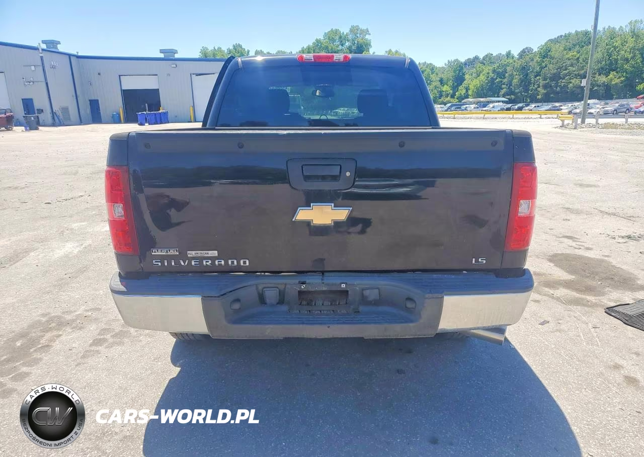 2010 Chevrolet Silverado C1500 Ls VIN:3GCRCREA8AG285287 - 6
