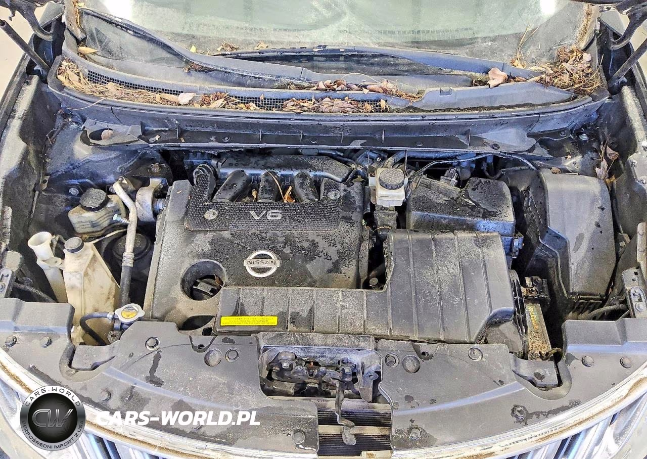 2010 Nissan Murano S VIN:JN8AZ1MU1AW011072 - 12